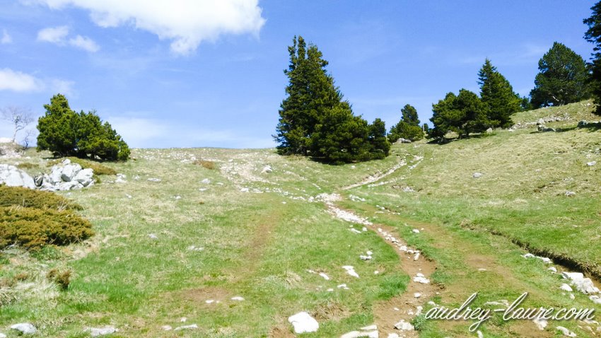 Randonnée Moucherotte - montée Randonnée Moucherotte - montée