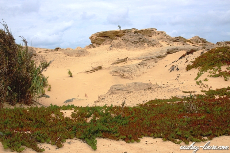 dunes porto santo madère