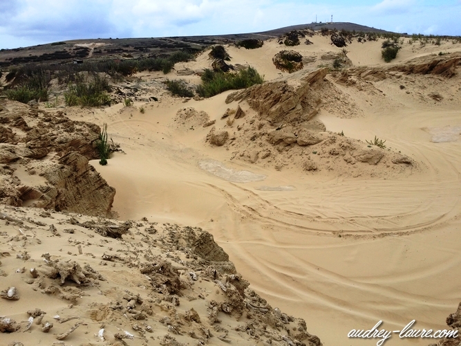 porto santo dunes de sable madère