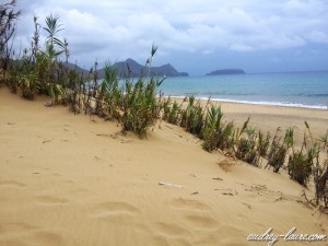 Lire la suite à propos de l’article Porto Santo et sa longue plage de sable fin (Madère)