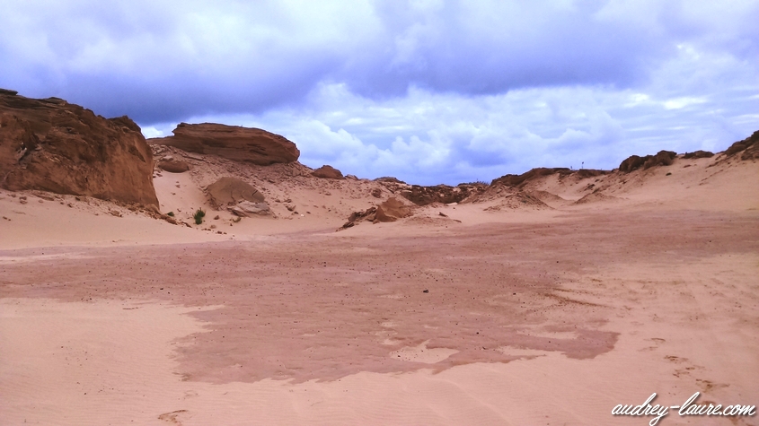 paysage dunes de sable