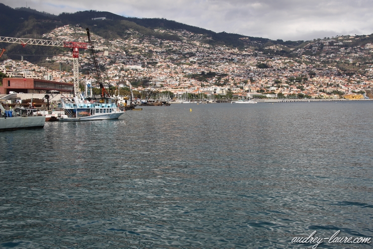 port funchal madère