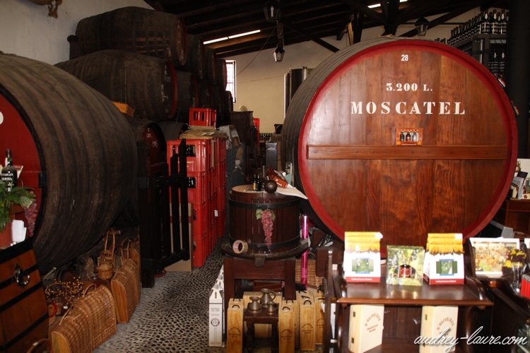  cave à vins Pereira d'Oliveira funchal madère