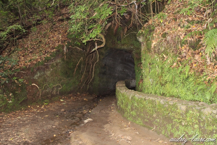 tunnel caldeirao verde
