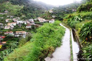 Lire la suite à propos de l’article La levada dos Maroços sous la pluie : culture, nature, et tradition
