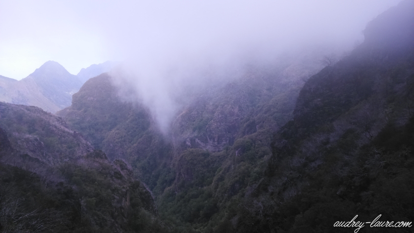 paysage brouillard madère voyage