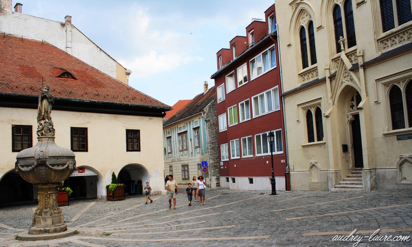 Sopron-voyage en Hongrie (15)