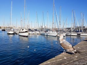Lire la suite à propos de l’article Barcelone, Espagne : Rambla de Mar
