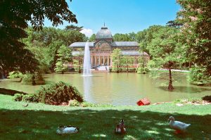 Lire la suite à propos de l’article Espagne, Madrid : le parc du Retiro [article invité]