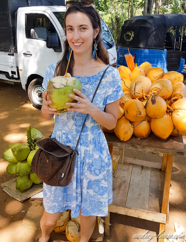 voyage au sri lanka - gastronomie sri lankaise - blog (3)
