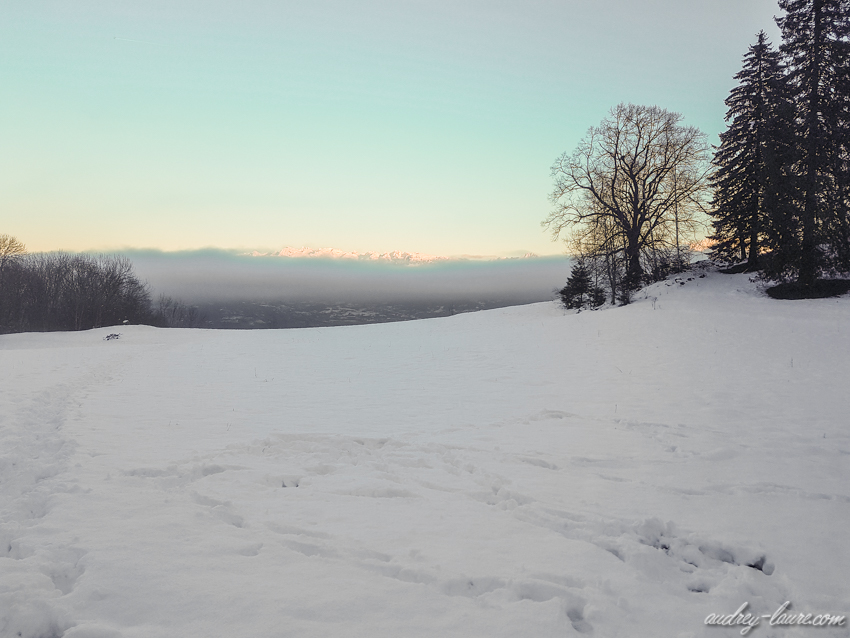 Le Peuil en hiver - Claix - Tourbière - Espace naturel sensible de l'Isère
