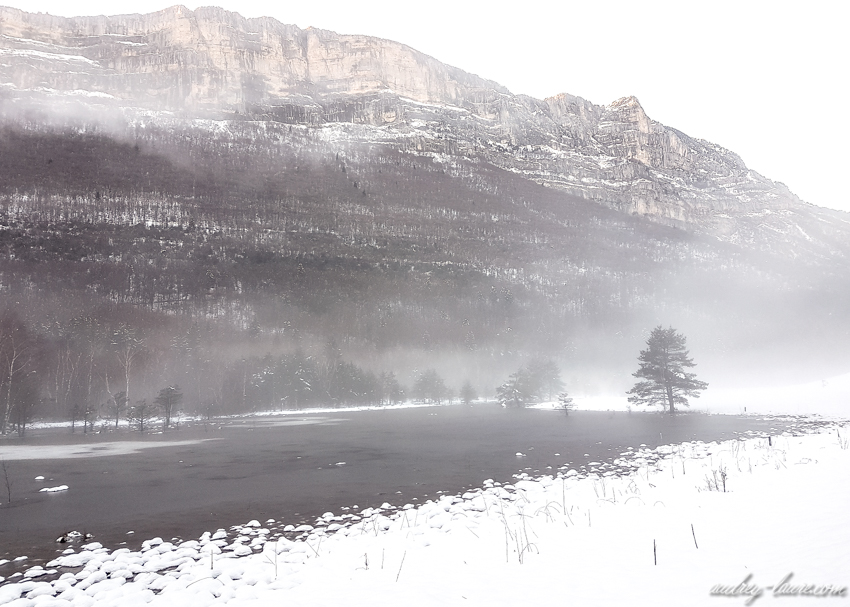 Le Peuil en hiver - Claix - Tourbière - Espace naturel sensible de l'Isère