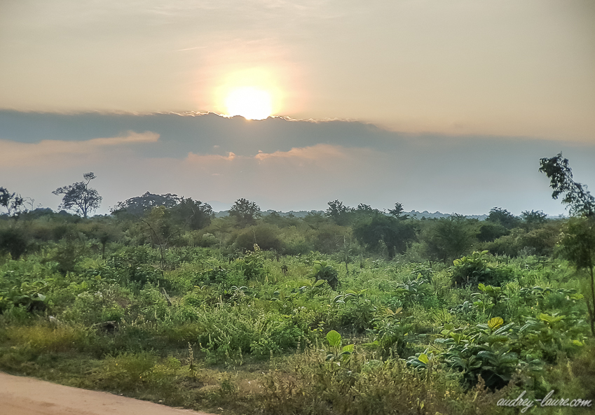 Coucher de soleil - voyage au Sri Lanka