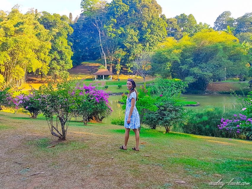 Jardins botaniques royaux de Peradeniya - Sri Lanka