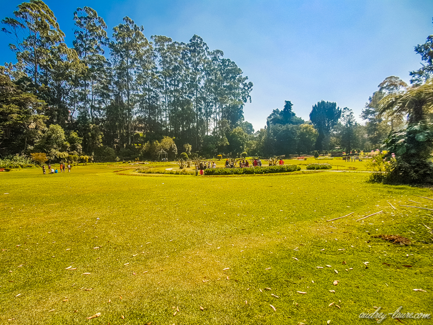 Parc Victoria - Nuwara Eliya - Voyage au Sri Lanka - jardin botanique