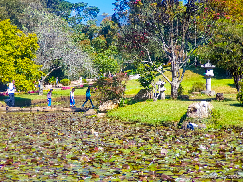 Parc Victoria - Nuwara Eliya - Voyage au Sri Lanka - jardin