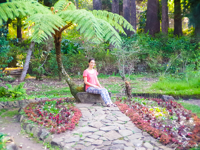 Parc Victoria - Nuwara Eliya - Voyage au Sri Lanka - jardin
