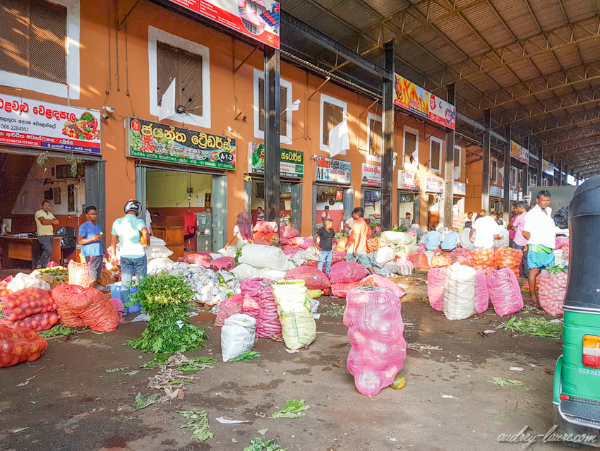 Marché-au-gros-de-Dambulla-voyage-au-Sri-Lanka-Kandy--sur-