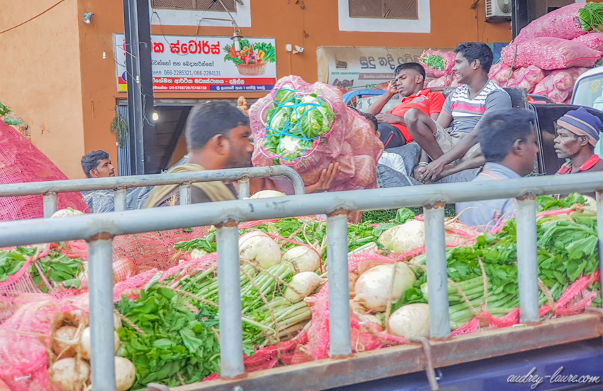 Marché-au-gros-de-Dambulla-voyage-au-Sri-Lanka-Kandy--sur-