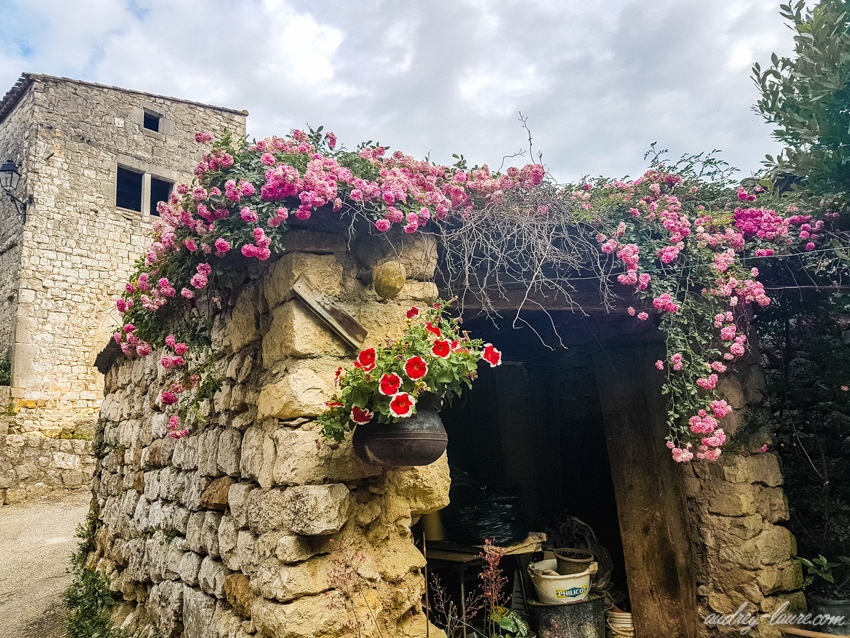 Balazuc - Tourisme en Ardèche - village labellisé - fleurs