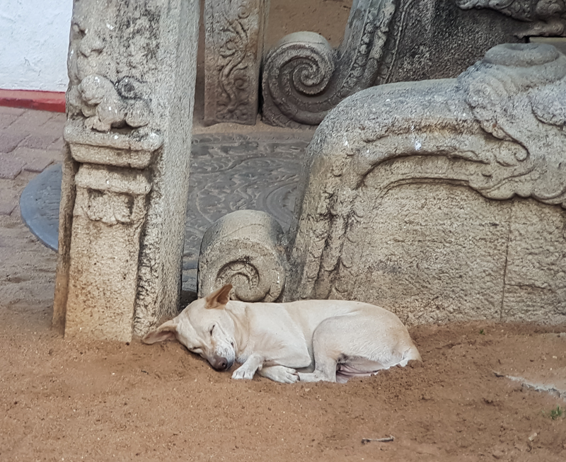 -Anuradhapura - Sri Lanka - Visite