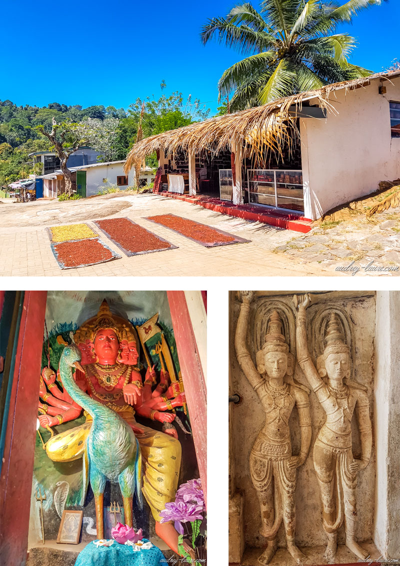 Blog-voyage-Sri-Lanka-Lankathilaka-temple-bouddhiste-fleurs-de-lotus-visite-photo