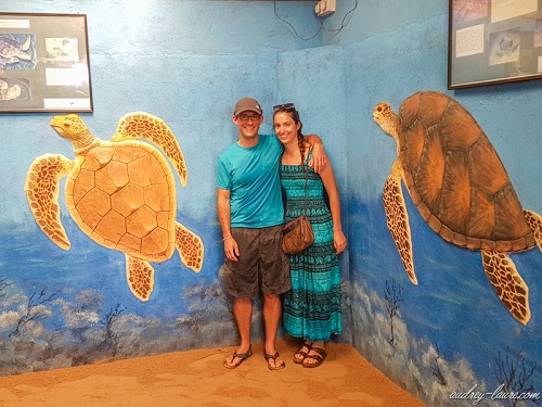 Centre-protection-tortues-marines-Sri-Lanka-blog-voyage--sur-